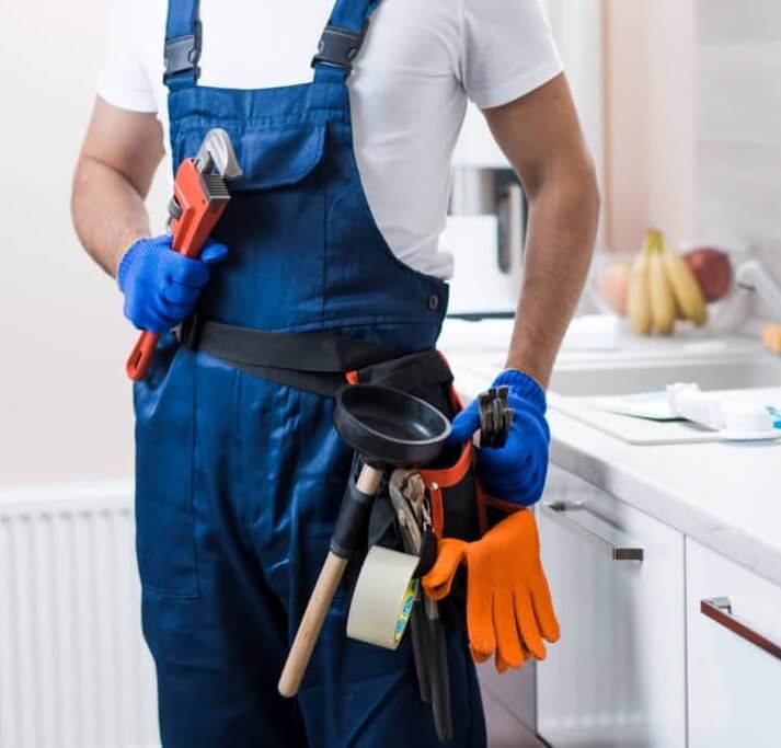 Professional Plumber Ryde